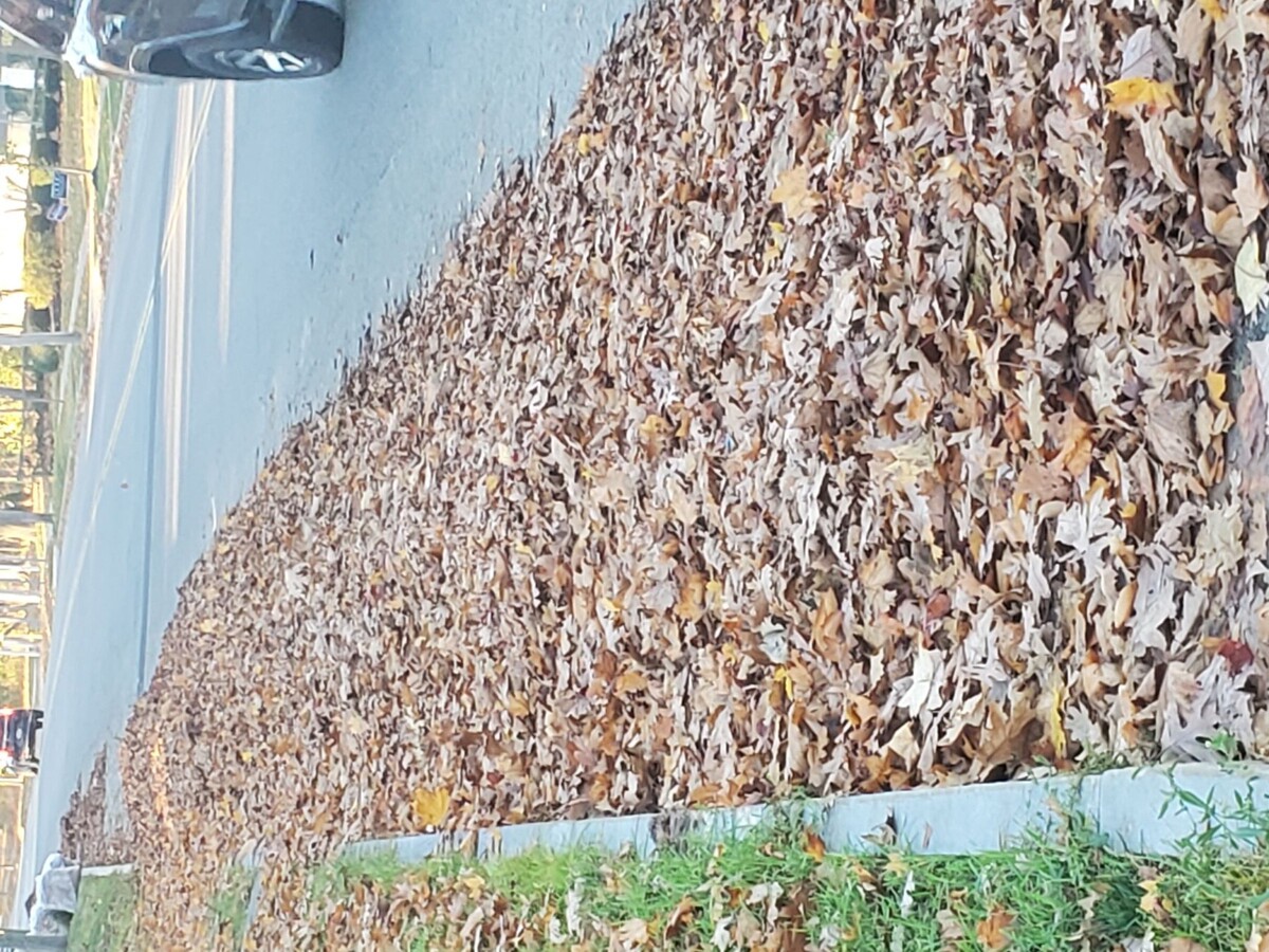 If Amherst can compost, why no the Falls? Niagara Express