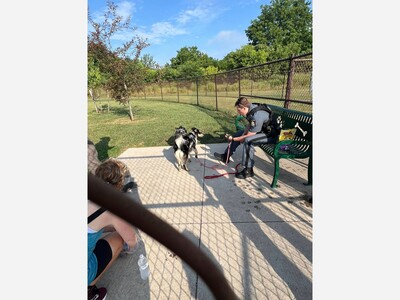 Dogs dumped at DeVeaux Woods
