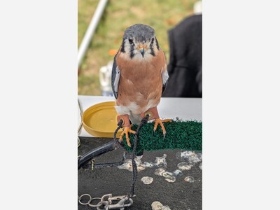 Potpourri for a Tuesday