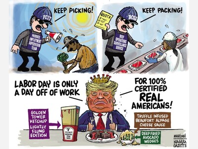 Get back to work
