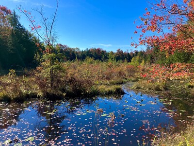 Floating fen opens in Chautauqua County