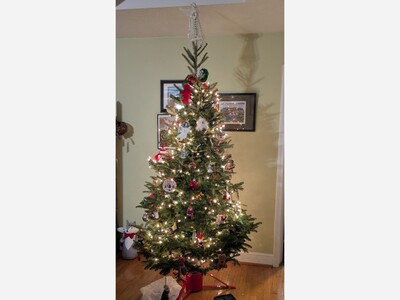 Free trees in Lewiston