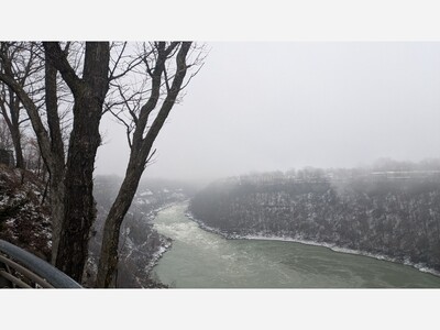 The mysticism of biophilic living