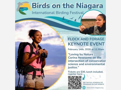 Birds on the Niagara announces schedule