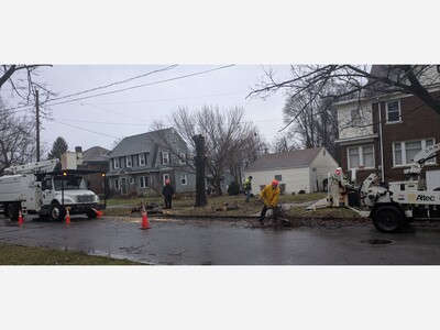 The World According to Bob