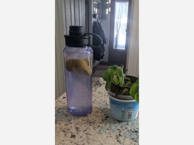 On customer service and profanity