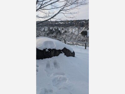 Potpourri for a Friday