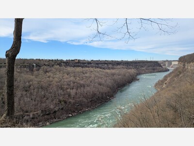 Watching the leaves turn