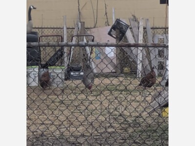 Potpourri for a Thursday