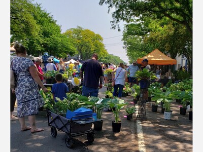Gardenfest this weekend